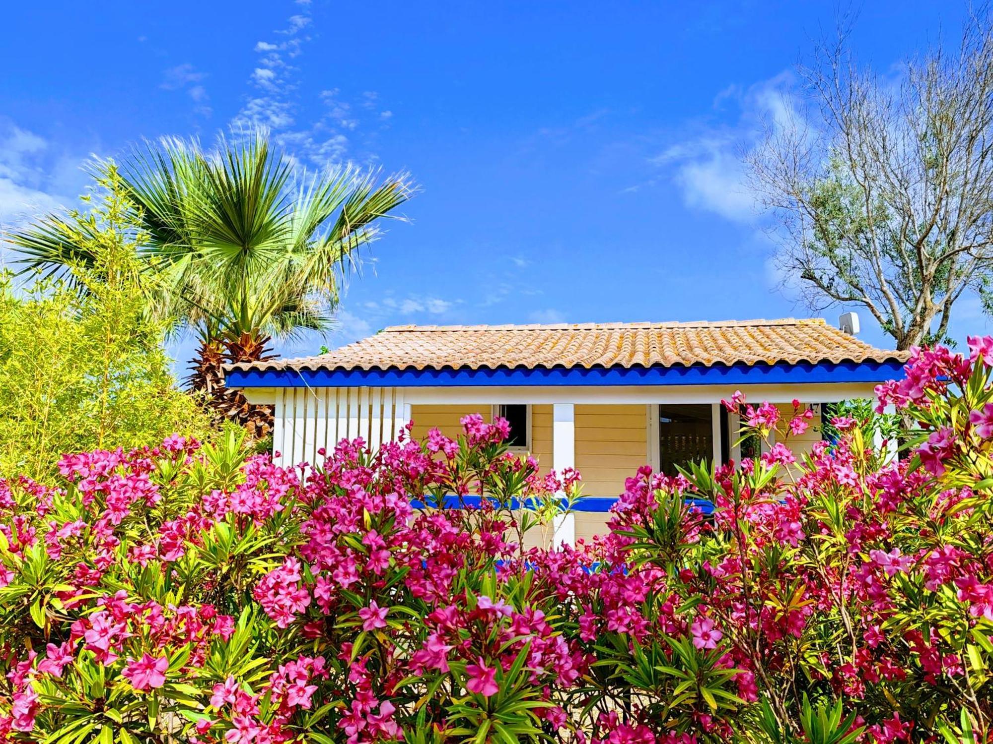 Camping Hameau Des Cannisses Gruissan Buitenkant foto